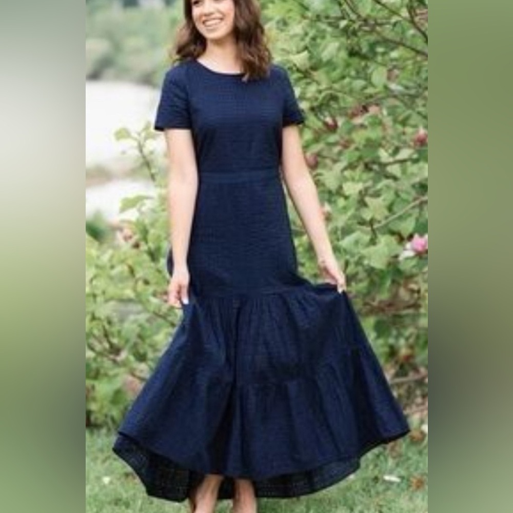 Banana Republic Dress Womens 12P Navy Blue Eyelet Short Sleeve Round Neck Maxi